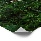 Dieng Farms Poster (Ecke)