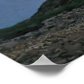 Dientes de Navarino Poster (Ecke)