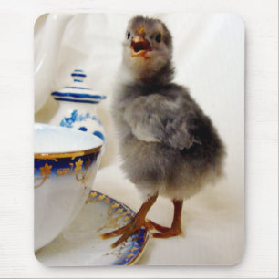 "Dies ist nicht Teil meines Vertrags", sagt das Kü Mousepad