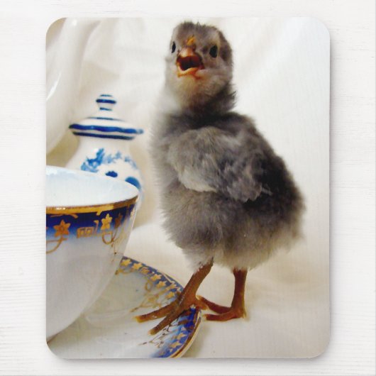 "Dies ist nicht Teil meines Vertrags", sagt das Kü Mousepad (Vorne)