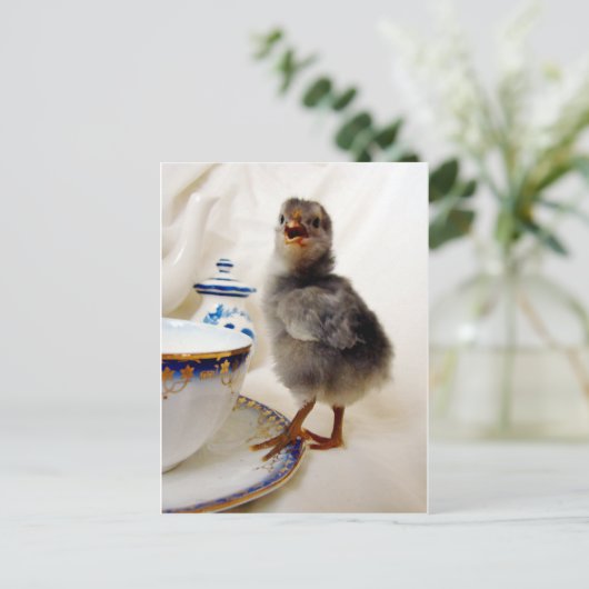 "Dies ist nicht Teil meines Vertrags", sagt das Kü Postkarte (Stehend Vorderseite)