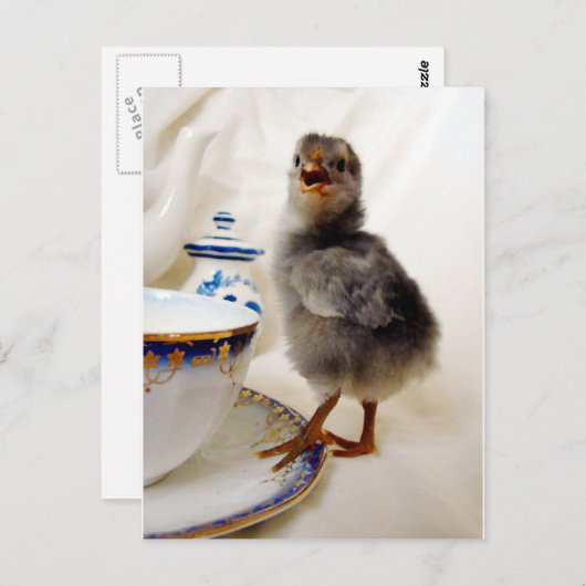 "Dies ist nicht Teil meines Vertrags", sagt das Kü Postkarte (Vorne/Hinten)