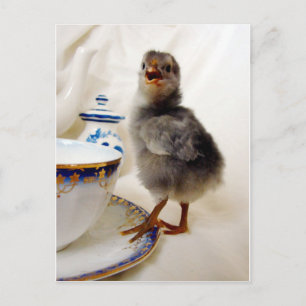 "Dies ist nicht Teil meines Vertrags", sagt das Kü Postkarte