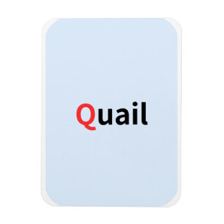 Dies sind farbige Alphabet-Taschenkarten. Magnet