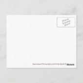 Diese alte Postkarte (Rückseite)