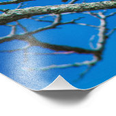 DIESE AUGEN 36 X 24 Kodak Pro Foto (Ecke)