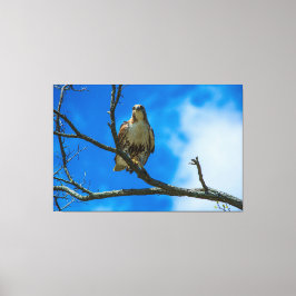 DIESE AUGEN 60 X 40 WRAPPED CANVAS DRUCKEN LEINWANDDRUCK