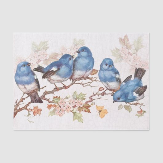 Diese Baby-Blues Seidenpapier (Vorderseite)