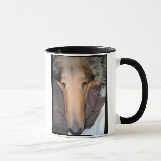 Diese Collie NOSE eine gute Tasse ... (Rechts)