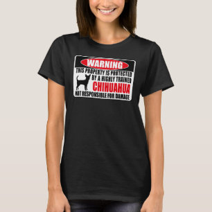 Diese Eigenschaft wird von einem hoch ausgebildete T-Shirt