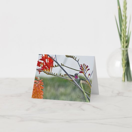 Diese eine Karte (Vorderseite)