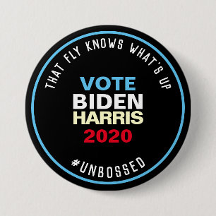 Diese Fliege, obwohl STIMMEN BIDEN HARRIS 2020 gro Button