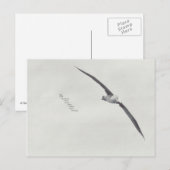 "diese Flügel" Postkarte (Vorne/Hinten)