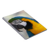 DIESE GORGEÖSE GEBURTSTÄTTE FÜTTERTE IN KURANDA VO NOTIZBLOCK (Rechte Seite)