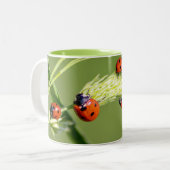 Diese kleinen Ladybugs gewähren einen glücklichen  Zweifarbige Tasse (Vorderseite Links)