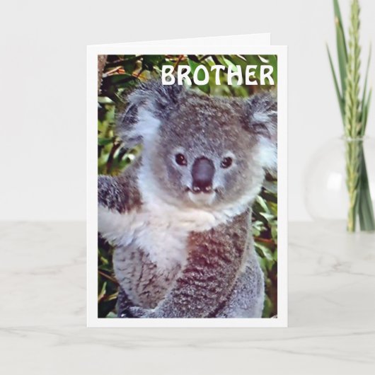 DIESE "KOALA BIRTHDAY CARD IST NUR FÜR SIE KARTE (Vorderseite)