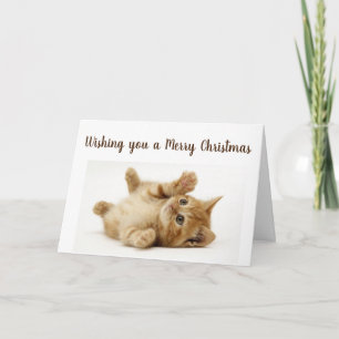 DIESE KÜCHE WILL ZU SAGEN **MERRY CHRISTMAS** FEIERTAGSKARTE