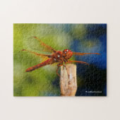 Diese Libelle ist so fliegend, wenn er lächelt! Puzzle (Horizontal)