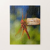 Diese Libelle ist so fliegend, wenn er lächelt! Puzzle (Vertikal)