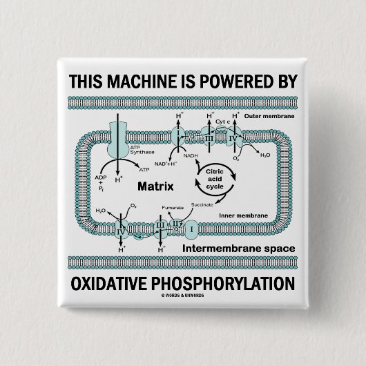 Diese Maschine angetrieben durch oxydierende Button (Vorderseite)