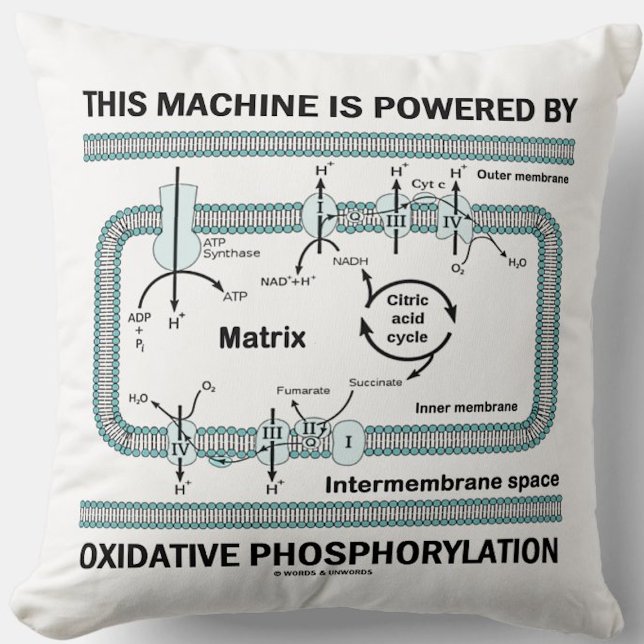 Diese Maschine wird durch oxidative Phosphorylieru Kissen (Throw pillow for anyone powered by oxidative phosphorylation (& that means you))