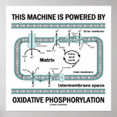 Diese Maschine wird durch oxidative Phosphorylieru Poster (Vorne)