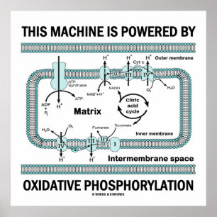 Diese Maschine wird durch oxidative Phosphorylieru Poster