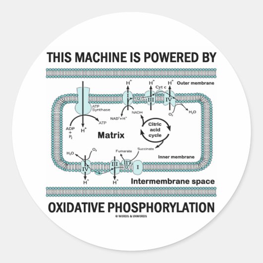 Diese Maschine wird durch oxidative Phosphorylieru Runder Aufkleber (Vorderseite)