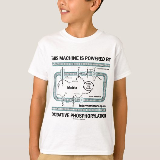Diese Maschine wird durch oxidative Phosphorylieru T-Shirt (Vorderseite)