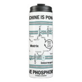 Diese Maschine wird durch oxidative Phosphorylieru Thermosbecher (Vorderseite)