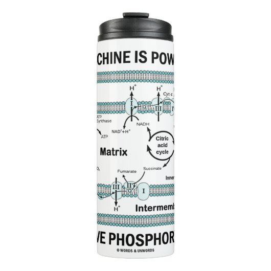 Diese Maschine wird durch oxidative Phosphorylieru Thermosbecher (Vorderseite)