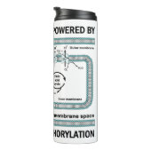 Diese Maschine wird durch oxidative Phosphorylieru Thermosbecher (Nach rechts gedreht)