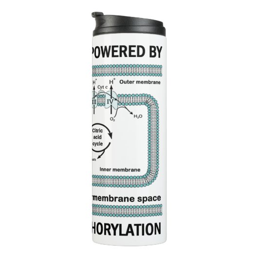 Diese Maschine wird durch oxidative Phosphorylieru Thermosbecher (Nach rechts gedreht)
