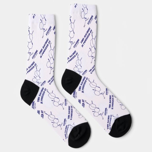Diese Maschine wird von Steviol Chem Molekül anget Socken (Rechts)