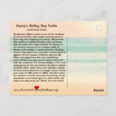 Diese Meeresschildkröte droht zu verschwinden — po Postkarte (Rückseite)