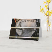 DIESE PFERDE IST "NICHT NIEMAND" GLÜCKLICH GEBURTS KARTE (Gelbe Blume)