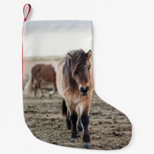DIESE PFERDE SIND SEHR SCHNELL UND INQUISITIV KLEINER WEIHNACHTSSTRUMPF