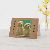 DIESE PUPS KÖNNEN NICHT GLAUBEN, DASS SIE "40" SIN KARTE (Gelbe Blume)