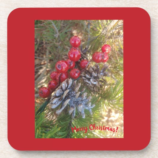 Diese Saisonabdeckung Getränkeuntersetzer (Vorderseite)