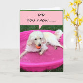 DIESE SCHWIMMBÜCHER ERKLÄRT IHRE LIEBE FÜR SIE KARTE (Gelbe Blume)