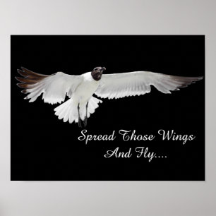 Diese Wings verbreiten Poster