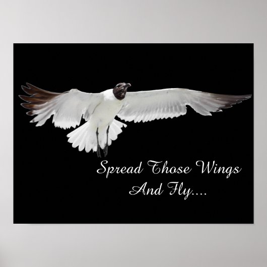 Diese Wings verbreiten Poster (Vorne)