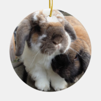 Diese zwei holen viel Furriness zu Ihrem Baum Keramikornament