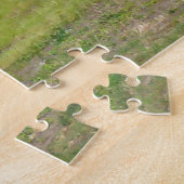 Diesellokomotiven Deutschland. Puzzle (Seite)