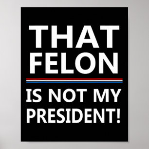 Dieser Felon ist nicht mein Präsident gegen Trump Poster