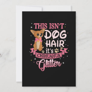 Dieser Hund hat seinen Chihuahua-Glitzer Chico Dog Ankündigung