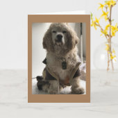 DIESER HUND IST BEREIT ZU SAGEN "GLÜCKLICHER GEBUR KARTE (Gelbe Blume)