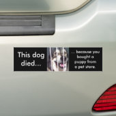 Dieser Hund starb Autoaufkleber (Auf Auto)
