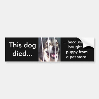 Dieser Hund starb Autoaufkleber