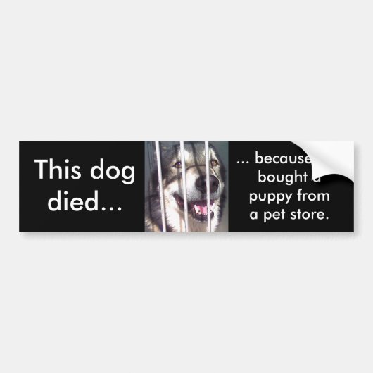 Dieser Hund starb Autoaufkleber (Vorne)